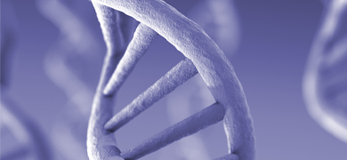 Light purple DNA strand.
