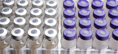 Rows of vials sealed with silver and purple caps.