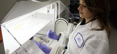 Side view of female ATCC scientist with hands in glove box using loop to streak petri dish.