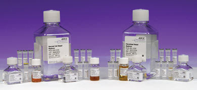Clear capped and labeled bottles and vials containing clear and orange media, ATCC products labeled: dermal cell basal medium; fibroblast basal medium.