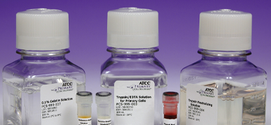 Clear capped and labeled bottles and vials containing clear and orange media, ATCC products labeled: gelatin solution; trypsin/EDTA.