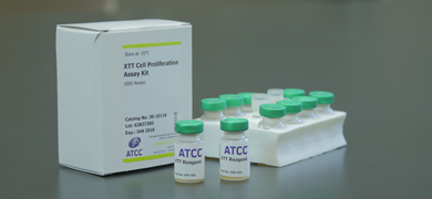 Tray of green capped, labeled vials next to white box labeled "XTT cell proliferation assay kit."