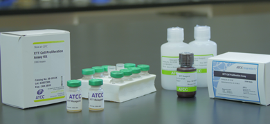 Capped, labeled vials and bottles next to white box labeled "XTT cell proliferation assay kit" and white box labeled "MTT cell proliferation Assay."