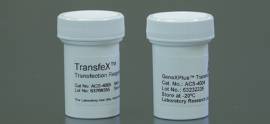 Capped, labeled bottles of TransfeX and GeneXPlus transfection reagent.