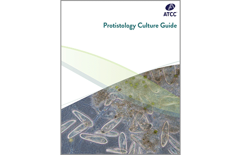 Protistology Culture Guide