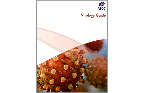 Virology Culture Guide
