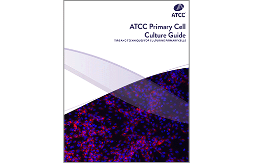 Primary Cell Culture Guide