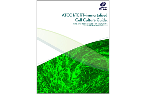hTERT Immortalized Cell Culture Guide