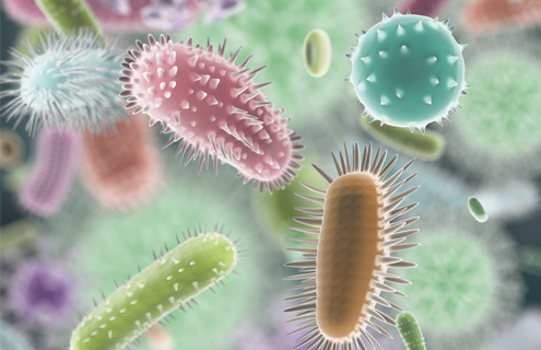 Mixed assortment of different colored microbes, bacteria, viruses, and protists.