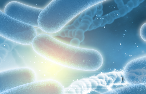 Blue DNA double helix strands surrounded by rod-shaped bacteria.