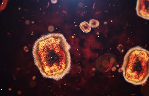 Monkeypox virus