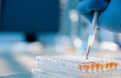 Gloved hand using a pipette to drop orange liquid into a well plate.