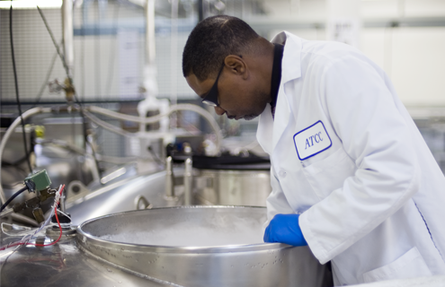 ATCC scientist wearing lab coat, safety glasses, and gloves, with hands in vapor in cryopreservation tank.