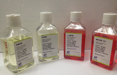 Clear capped and labeled bottles containing red and yellow media, ATCC products labeled: DMEM; RPMI; alpha-MEM; MCDB 131.