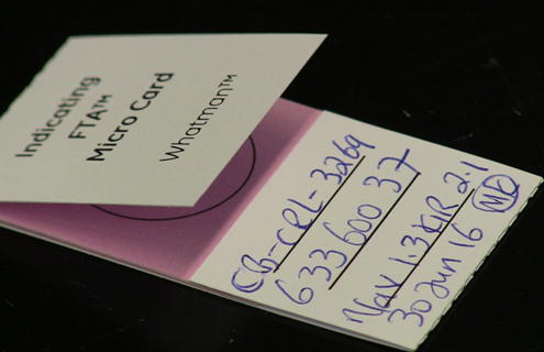 Close up of white card printed with "Indicating FTA Micro Card, Whatman" with hand written text "CB-CRL-3269, 633-600-37."