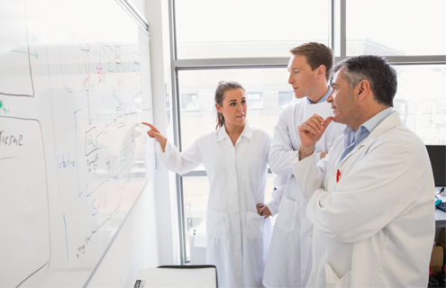 People in lab coats looking at formulae on whiteboard.