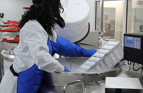 Scientist wearing safety mask, smock, and gloves removing stock from cryo tank in repository.