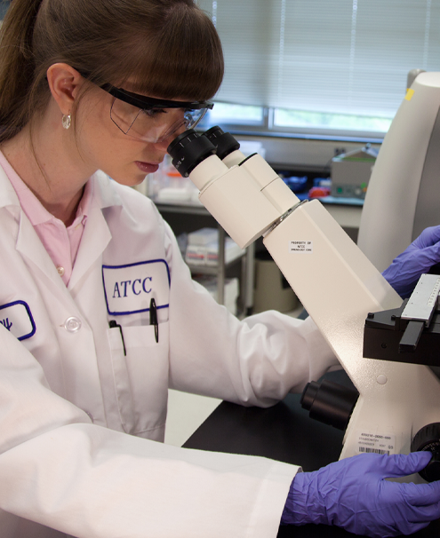 scientist-inverted-microscope-flask-close Female ATCC scientist in lab coat, safety glasses, and gloves, looking at media in a flask using an inverted microscope.