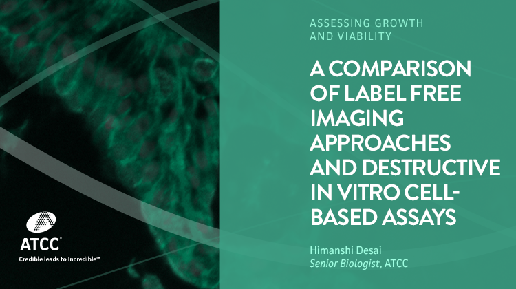 A Comparison of Label Free Imaging Approaches and Destructive In Vitro Cell based Assays