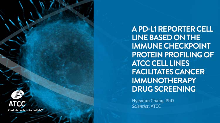 A PD-L1 reporter cell line based on the immune checkpoint protein profiling of ATCC cell lines facilitates cancer immunotherapy drug screening