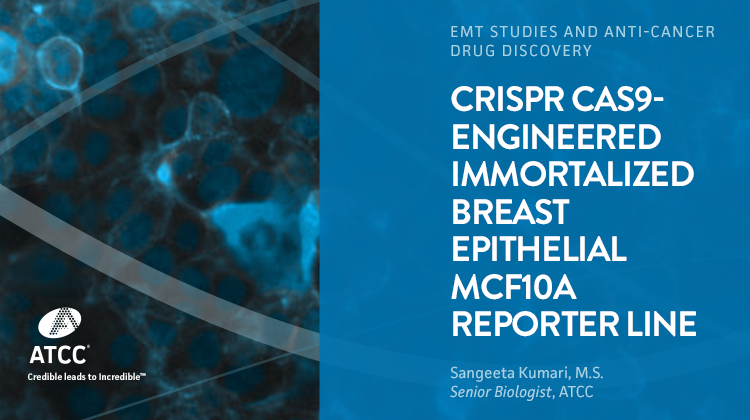 CRISPR Cas9-engineered Immortalized Breast Epithelial MCF10A Reporter Line