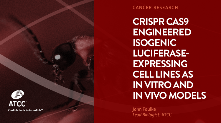 CRISPR Cas9 Engineered Isogenic Luciferase expressing Cell Lines as In Vitro and In Vivo Models