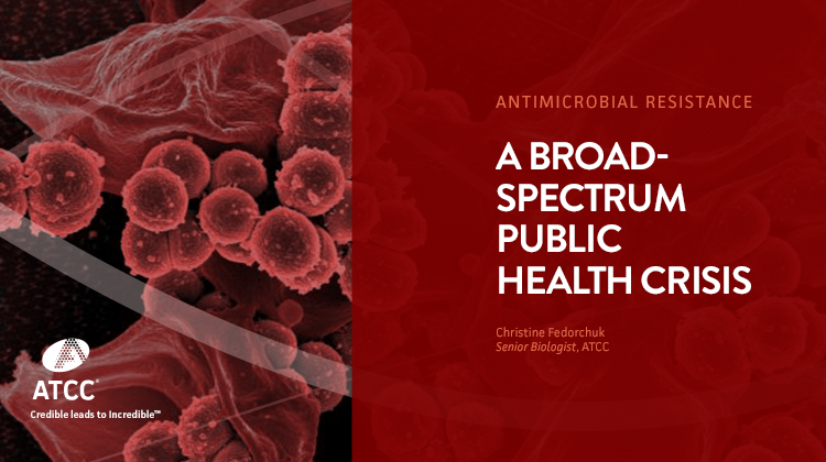 A Broad-spectrum Public Health Crisis Antimicrobial Resistance webinar overlay image