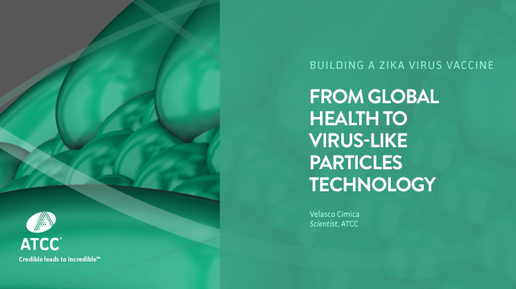 From Global Health to Virus-like Particles Technology webinar overlay image