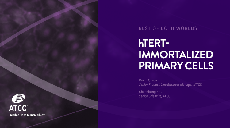 Best of both worlds - hTERT immortalized primary cells webinar overlay image