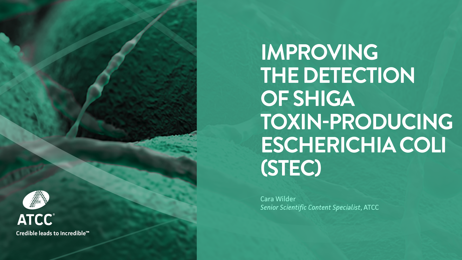 Improving the Detection of Shiga Toxin-producing Escherichia coli (STEC) webinar overlay image