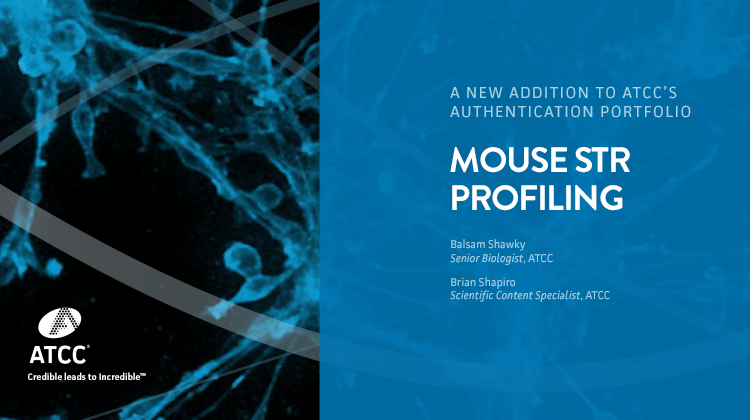 Mouse STR Profiling A New Addition to ATCC's Authentication Portfolio webinar overlay image