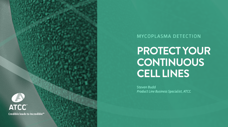 Mycoplasma Detection Protect Your Continuous Cell Cultures webinar overlay image