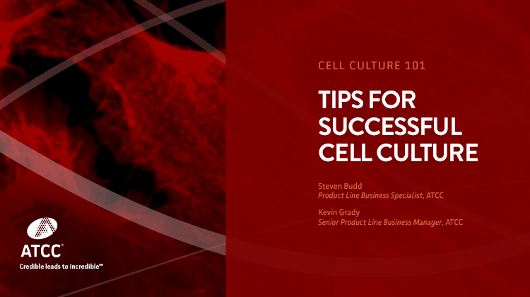 Cell Culture 101 Tips for Successful Cell Culture webinar overlay image