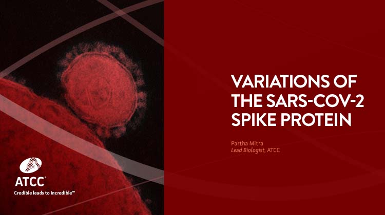 Variations of the SARS-CoV-2 Spike Protein Overlay Image