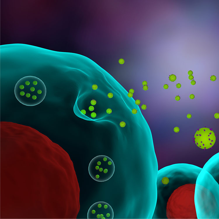 cells-releasing-exosomes Large green sphere releasing several small green exosome spheres. Illustration.