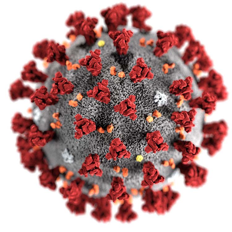 coronaviruses-23312 Gray coronavirus sphere with red and orange protruding particles.