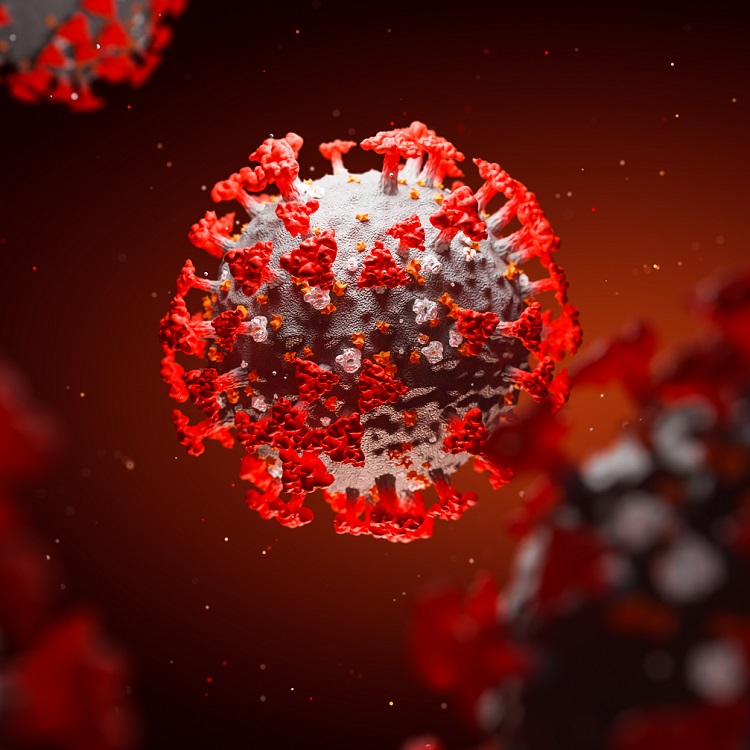 Coronavirus 3D illustration of SARS-CoV-2