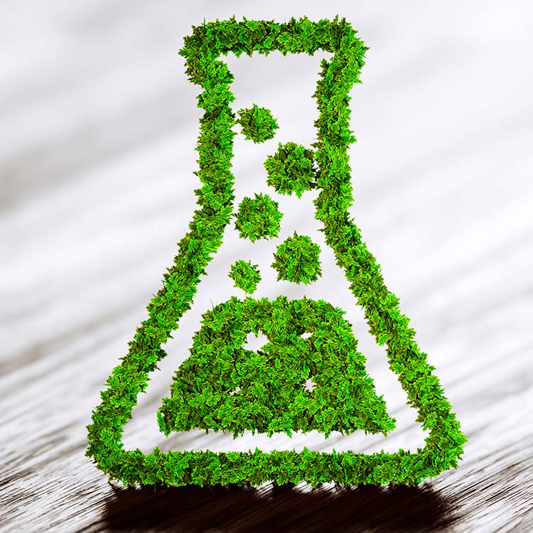 flask-plant Illustration of a flask with media in it made up of tiny green plants, standing up on a wooden table.