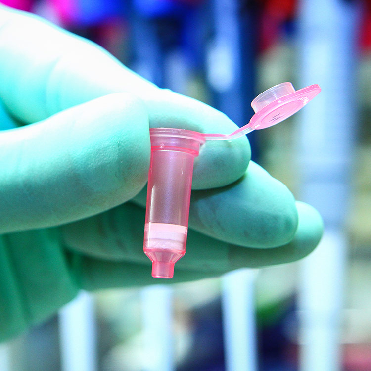 dna-rna-vial Gloved hand holding small, plastic, pink vial with flip-top lid open.