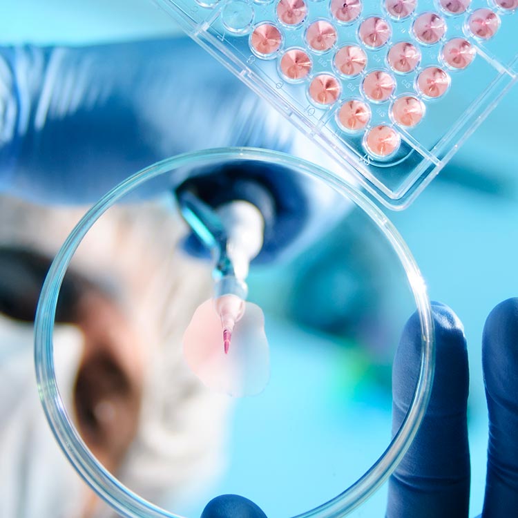 petri-dish-pipette-tray-scientist-mask-gloves