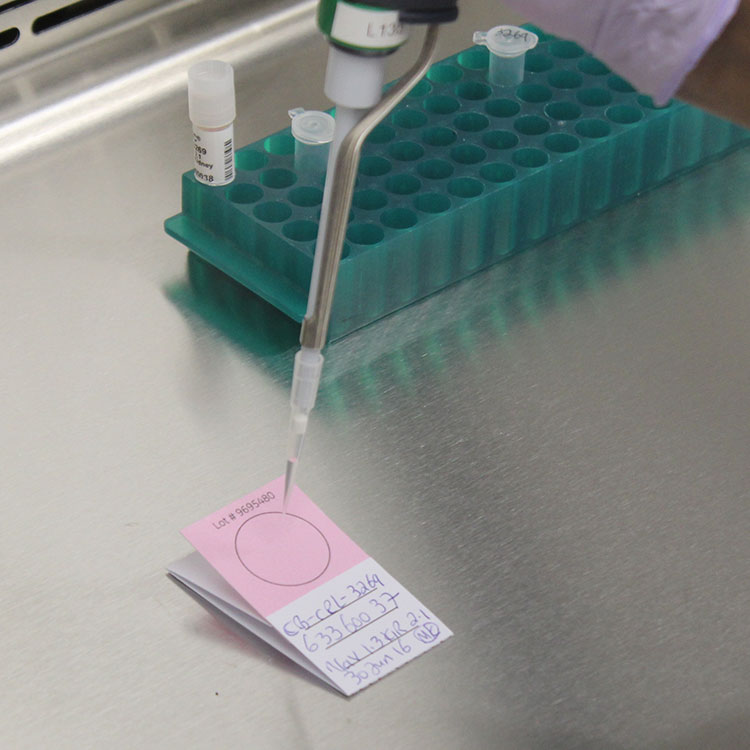 micro-card-pipette-vials Gloved hand under a hood, holding a pipette over a FTA Micro Card, near vial trays.