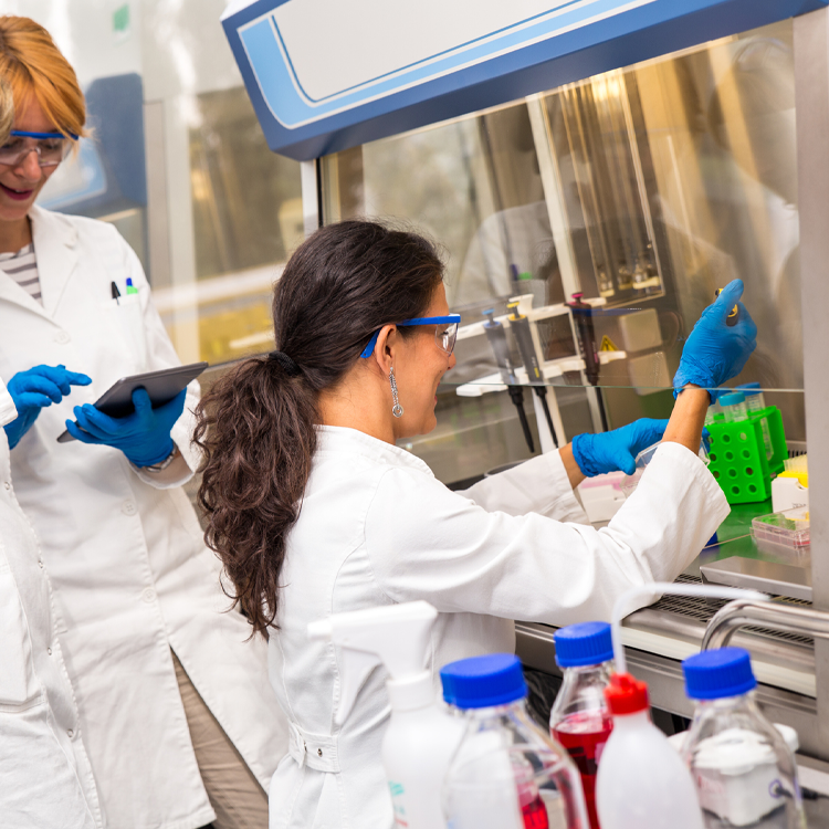 female-scientists-research-lab Two female scientists looking at tablet, standing behind seated female scientist who has gloved hands under a hood, holding a pipette.
