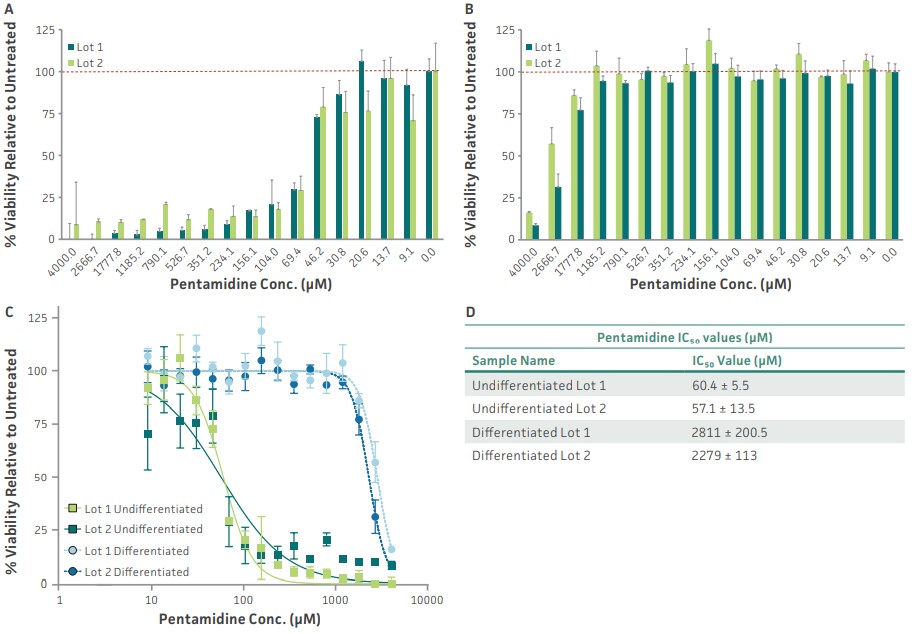 Changes in viability between (A) undifferentiated HBECs and (B) airway models from 24-hour exposure to pentamidine.