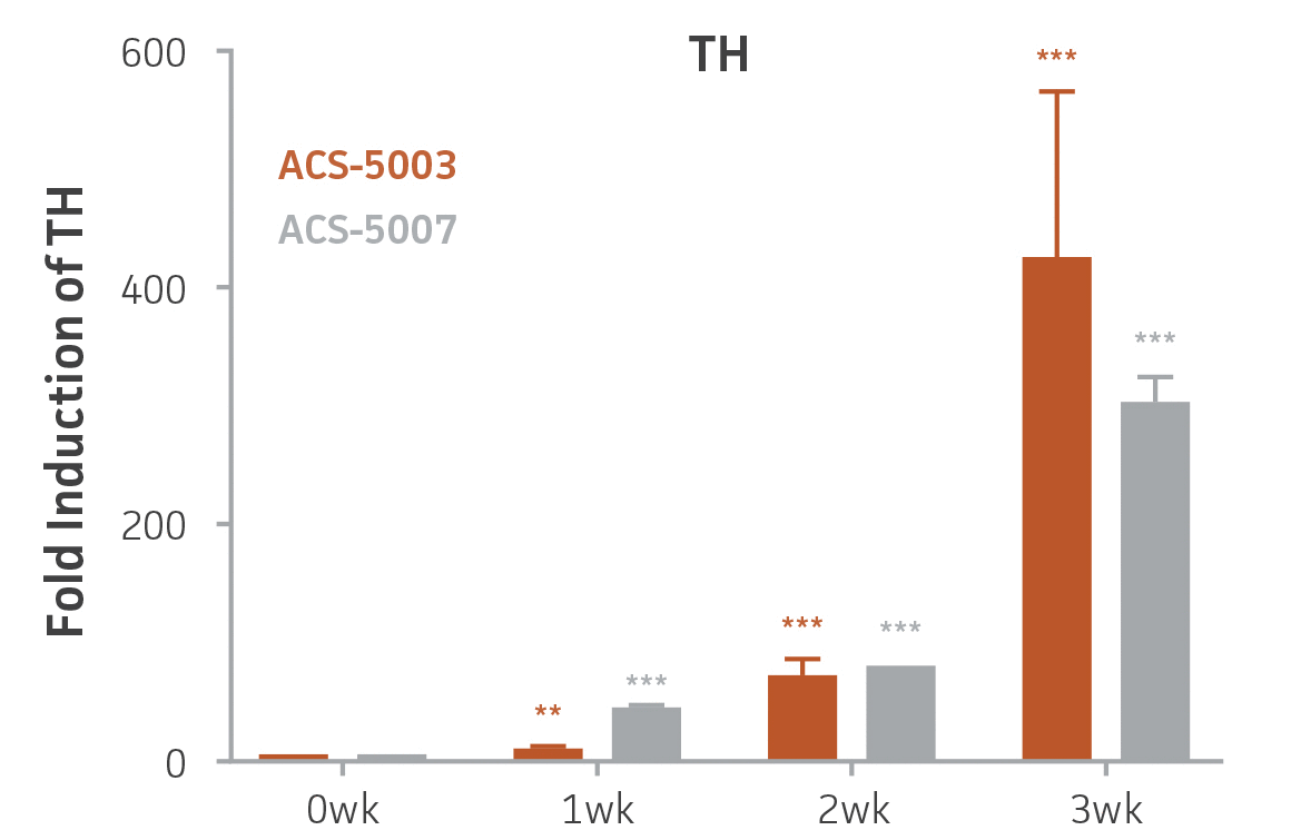 Bar chart labeled Fold Induction of TH