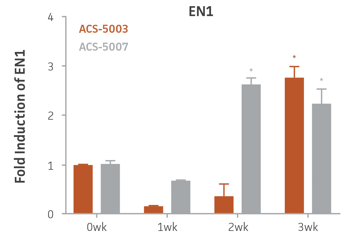 Bar chart labeled Fold Induction of EN1