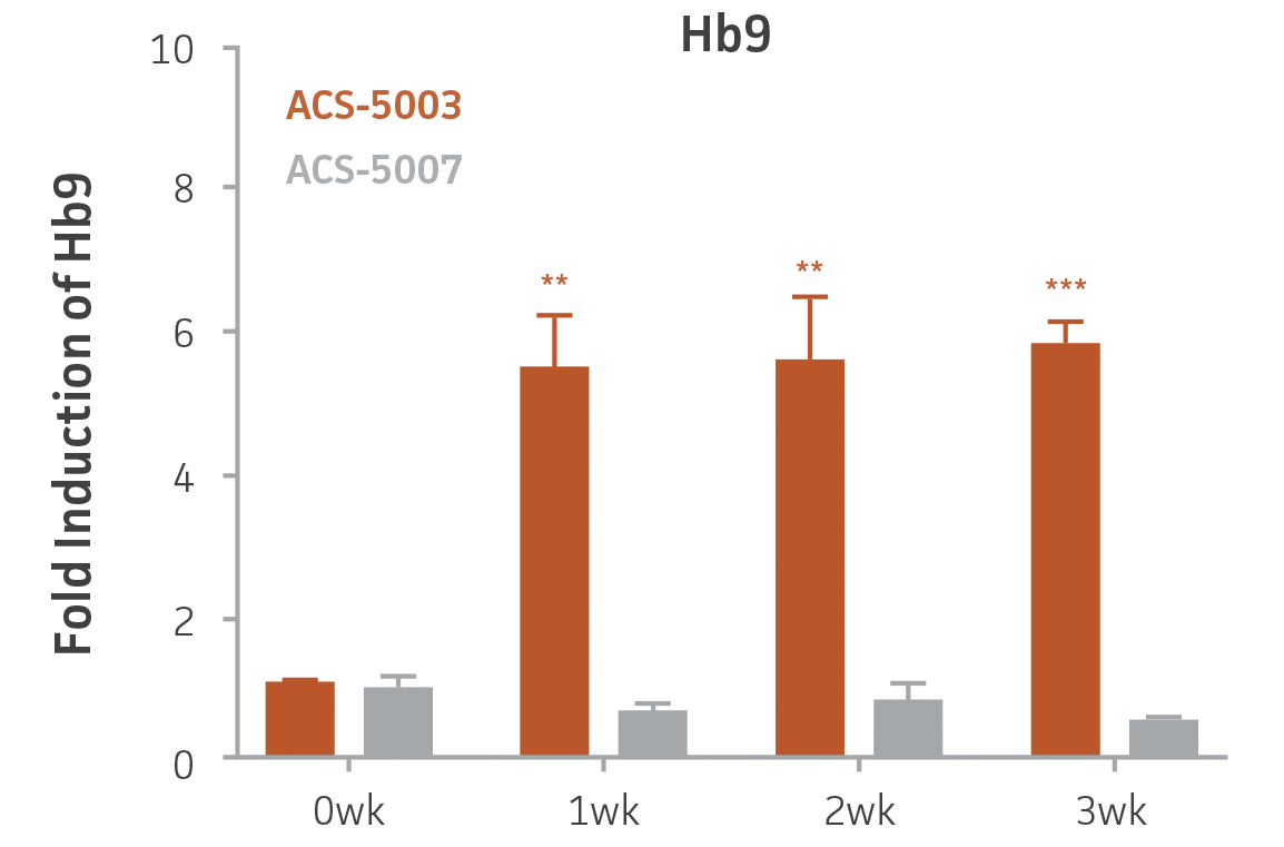 Bar chart labeled Fold Induction of Hb9