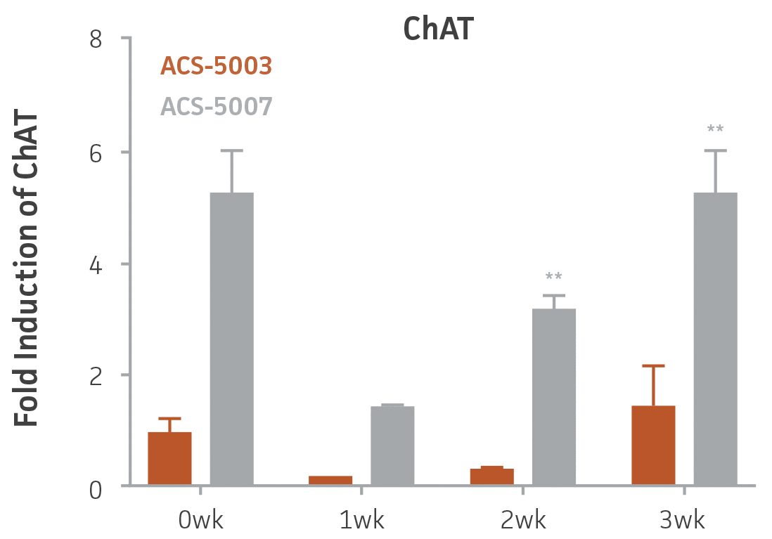Bar chart labeled Fold Induction of ChAT