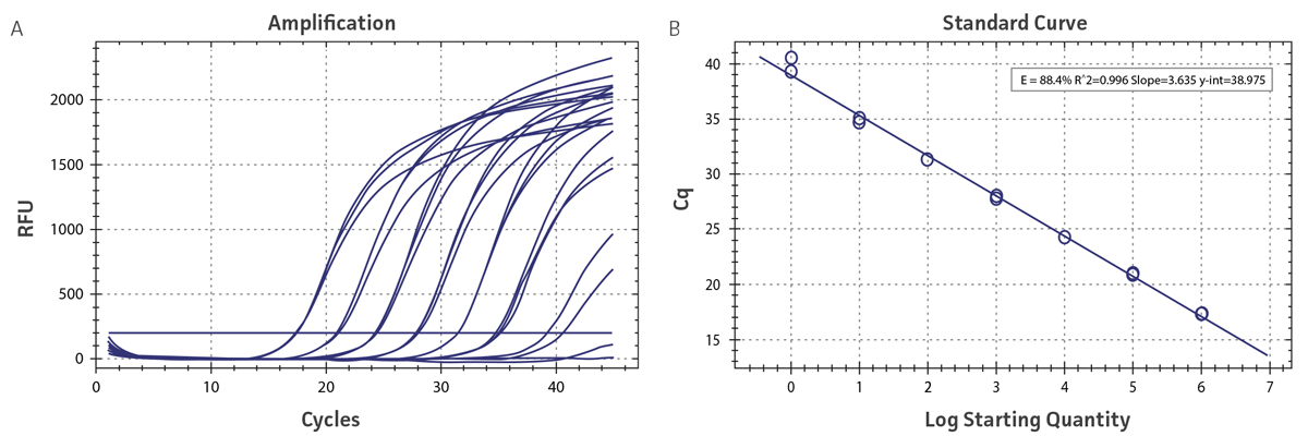 Standard curves using Denv-4 molecular standard..