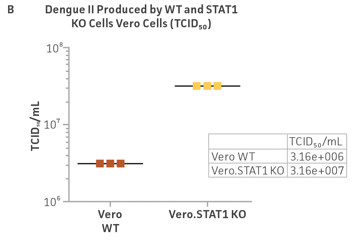Dengue II virus type 2 strain New Guinea C titer comparison.