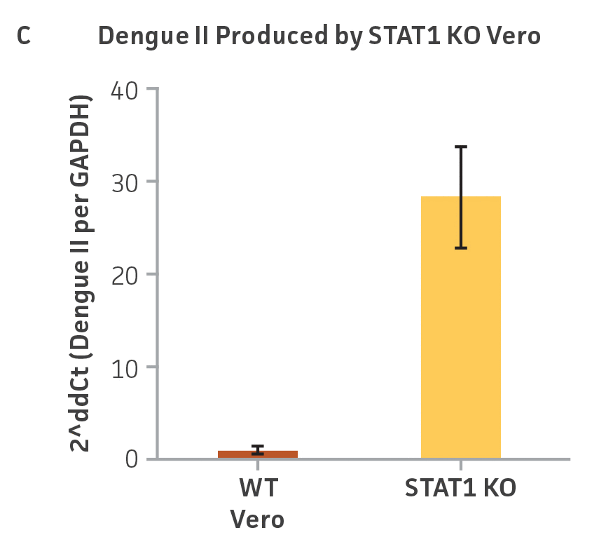 Dengue II virus type 2 strain New Guinea C titer comparison.
